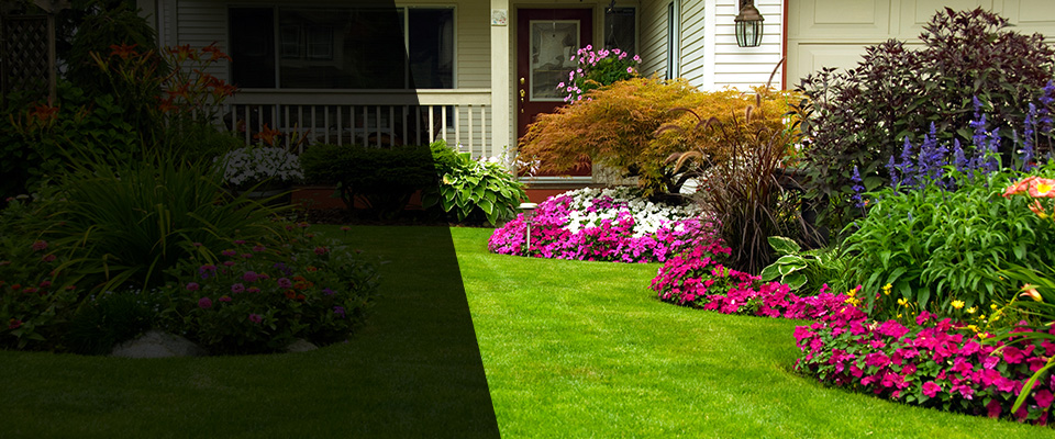 Port Barre Landscapers