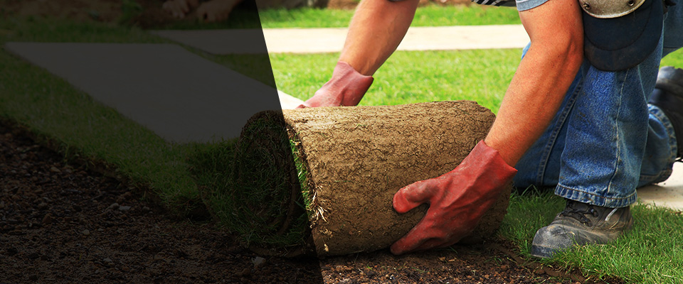 Port Barre Landscapers